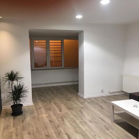 Apartment City Center Pitesti Exterior photo